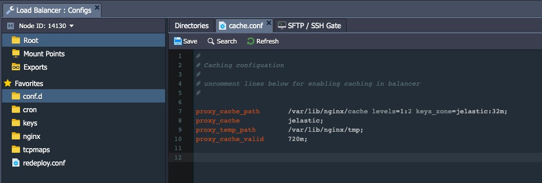 Caching in NGINX Balancer - คู่มือการใช้งาน Ruk-Com Cloud (PAAS)